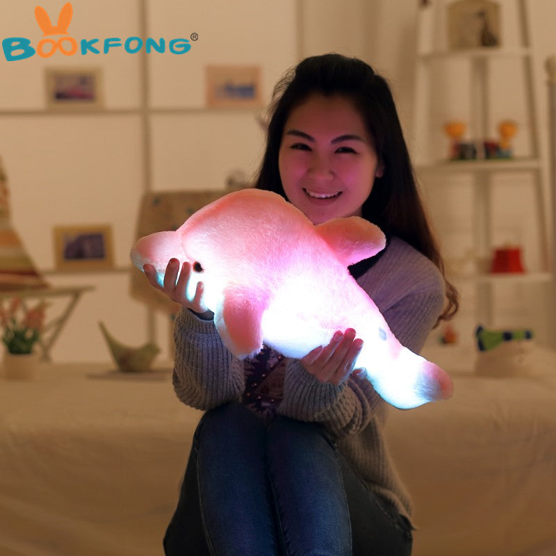 LED Dolphin Plush Toy